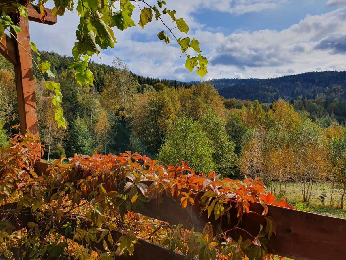 Ksiezycowa Dolina Lägenhet Lądek-Zdrój Exteriör bild